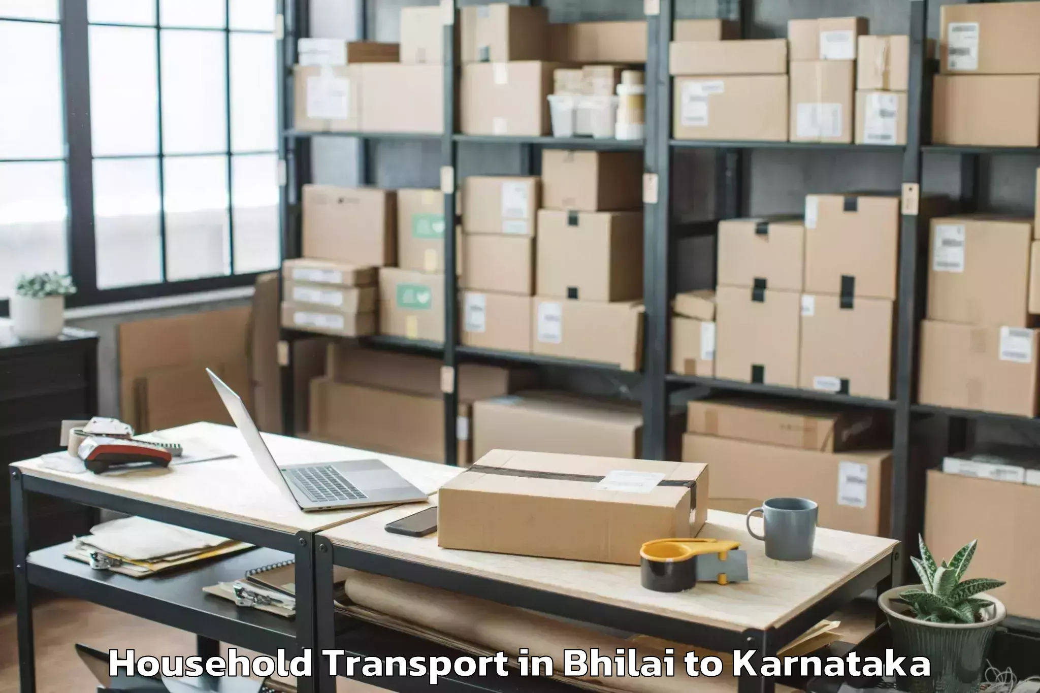 Professional Bhilai to Tavarekere Household Transport